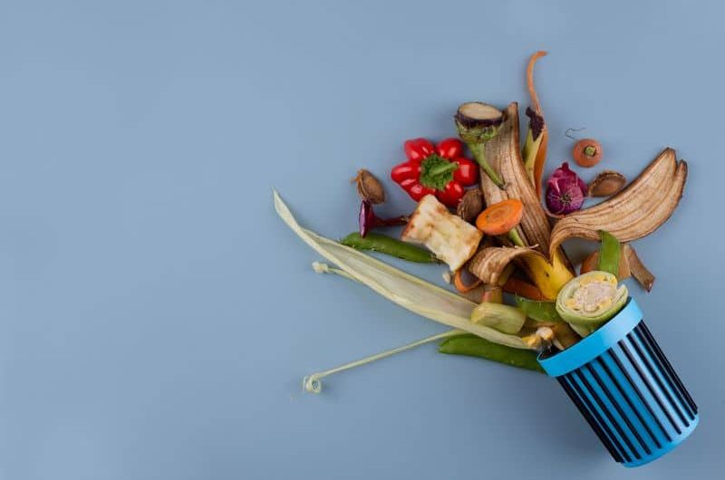 Less waste – czy da się żyć bez odpadów?