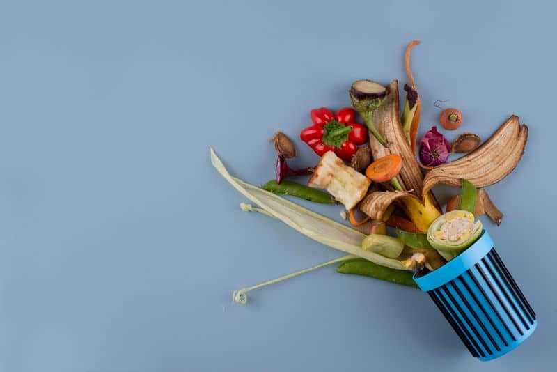 Less waste – czy da się żyć bez odpadów?