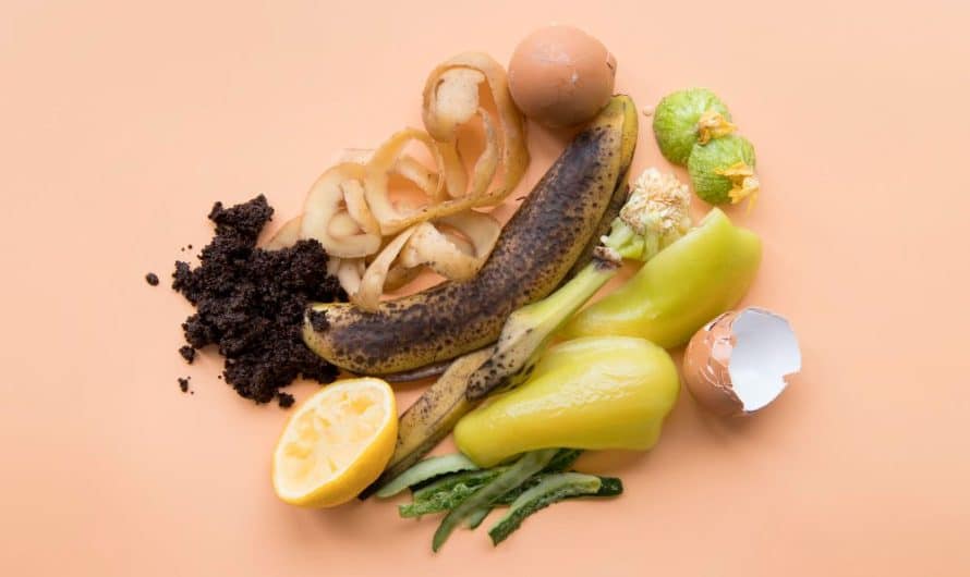 Do jakiego kosza – odpady bio?