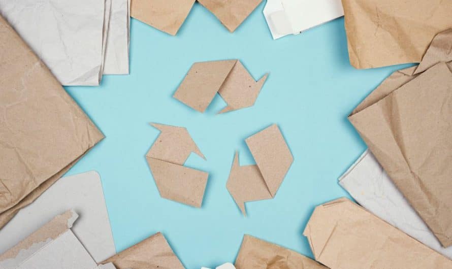 Do jakiego kosza – papier?