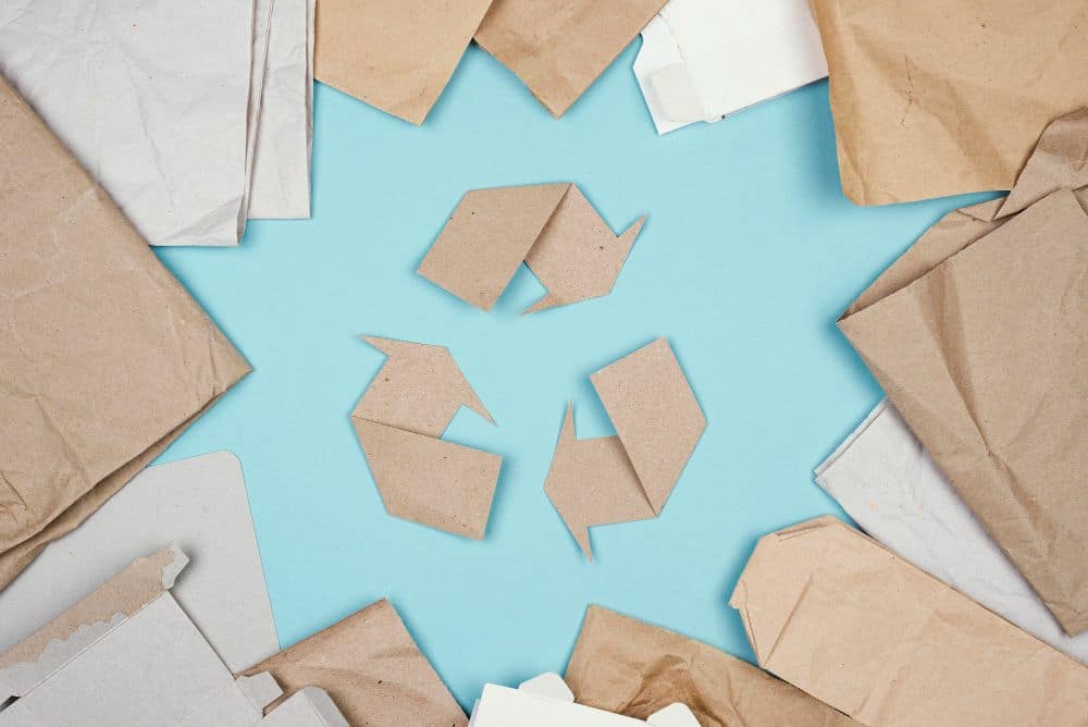 segregacja papier
